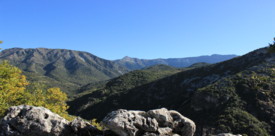 Parque Natural Sierra de Grazalema
